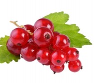 Nettare di Ribes da 250 ml. 